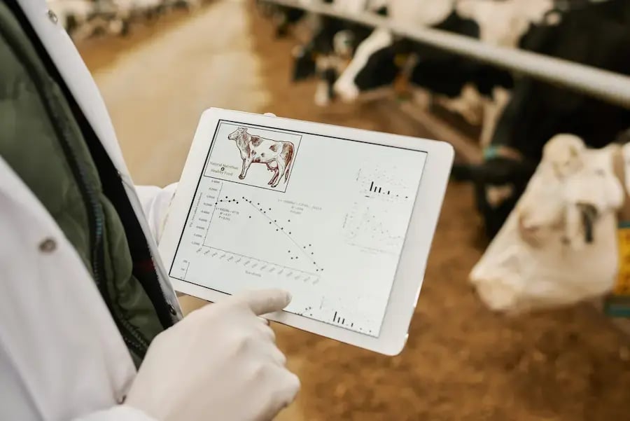 Tablet-Bildschirm