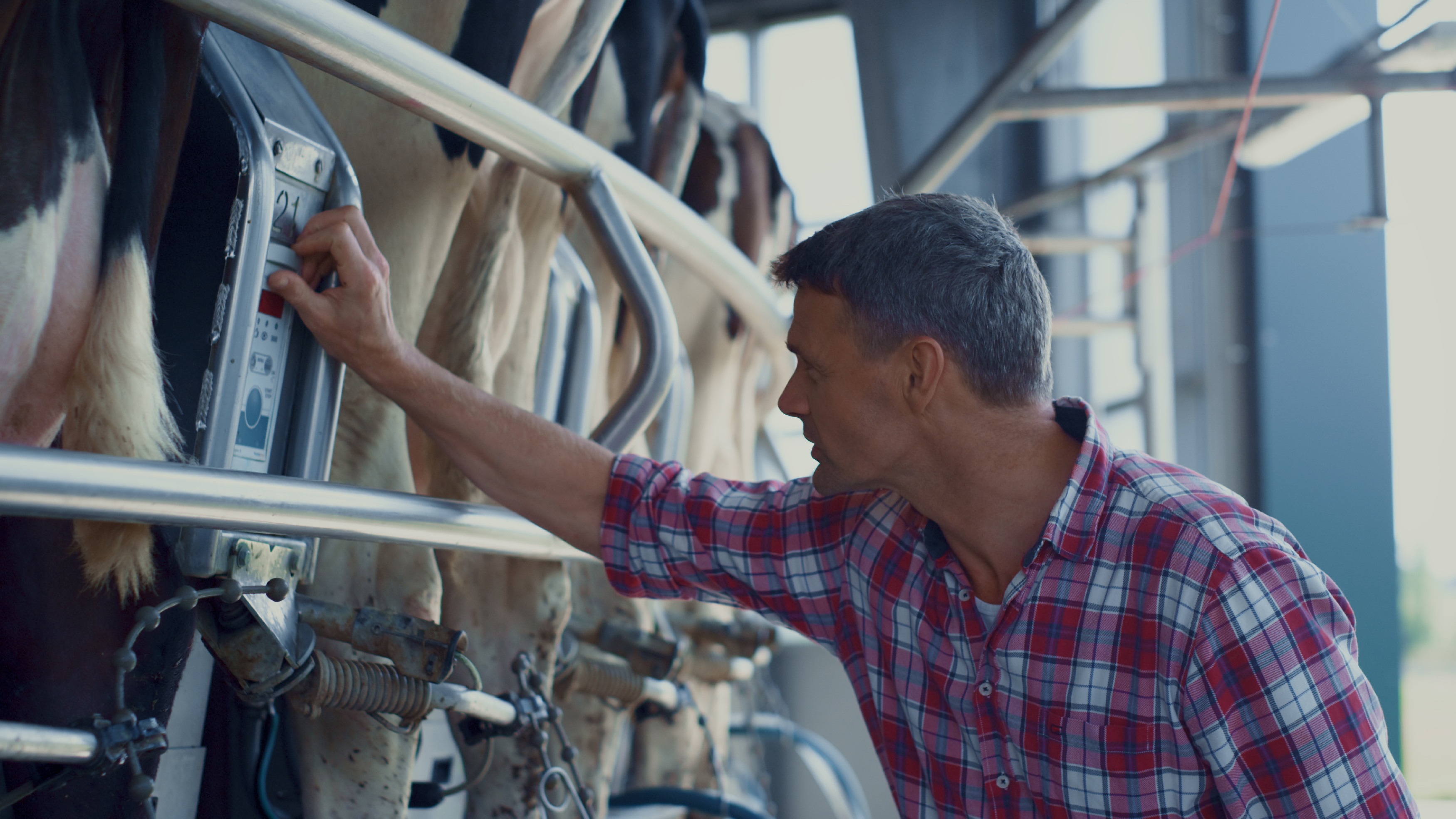 Landwirt überprüft Melktechnologiesystem