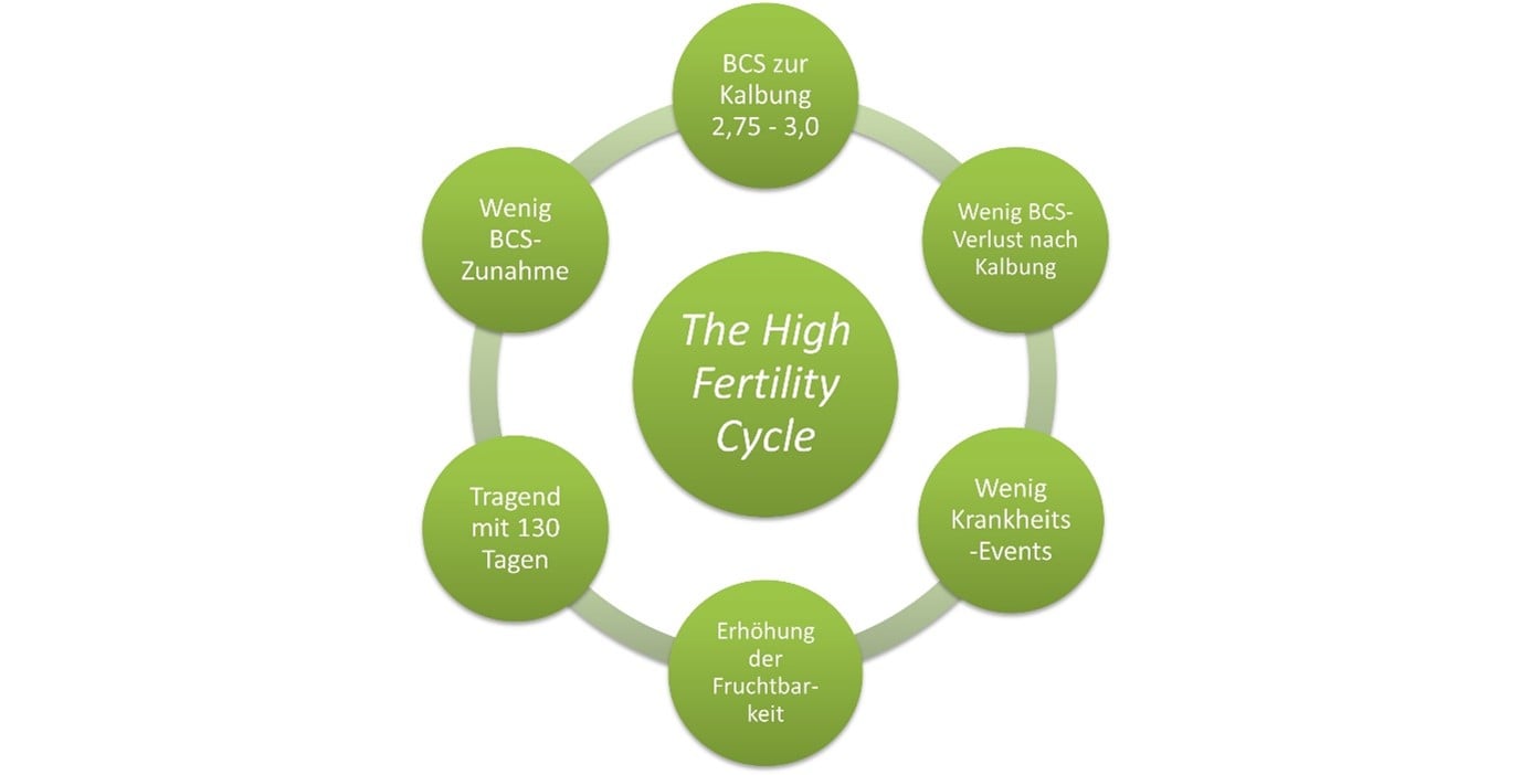 Abbildung 1 Schema des high fertility cycle