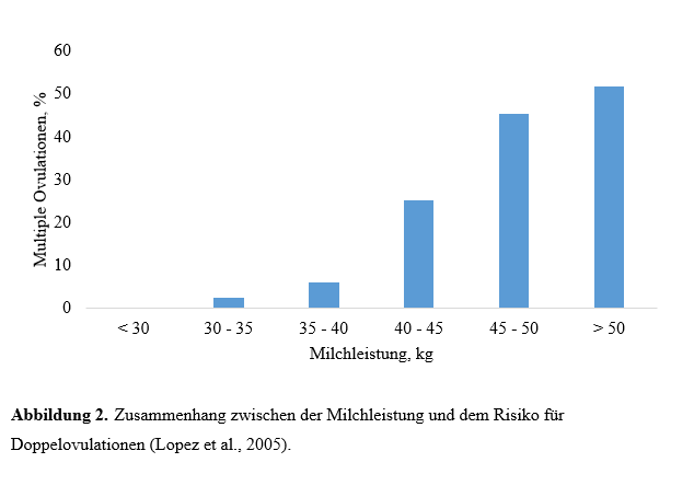 Zwillinge_Abbildung 2