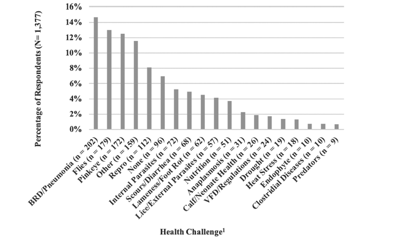 Grafik Health Challenge