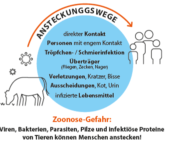 Grafik Ansteckungswege