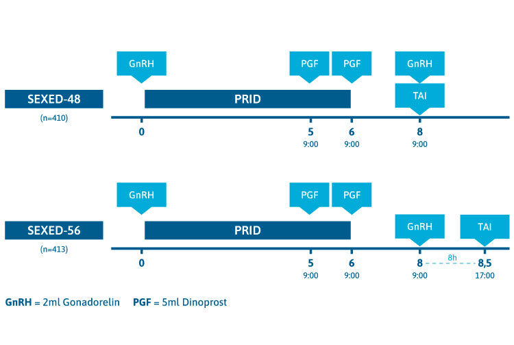 Blog-graphic_vs2