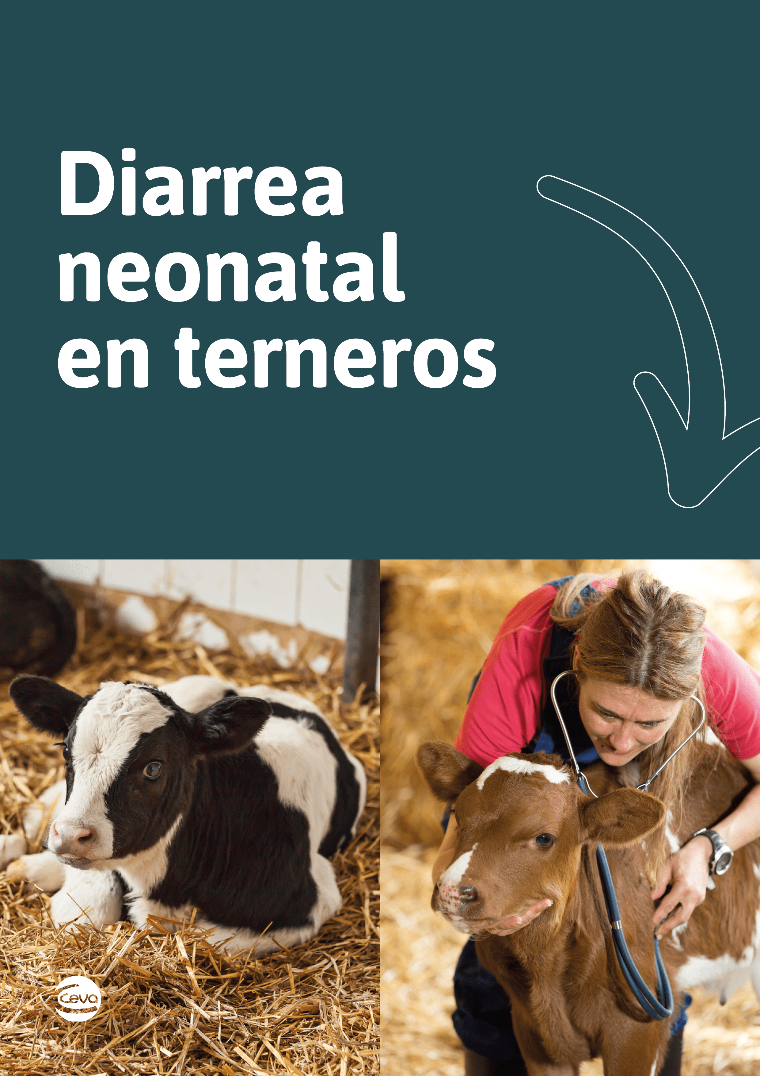 CEV - Diarrea neonatal en terneros - Portada 2D (1)