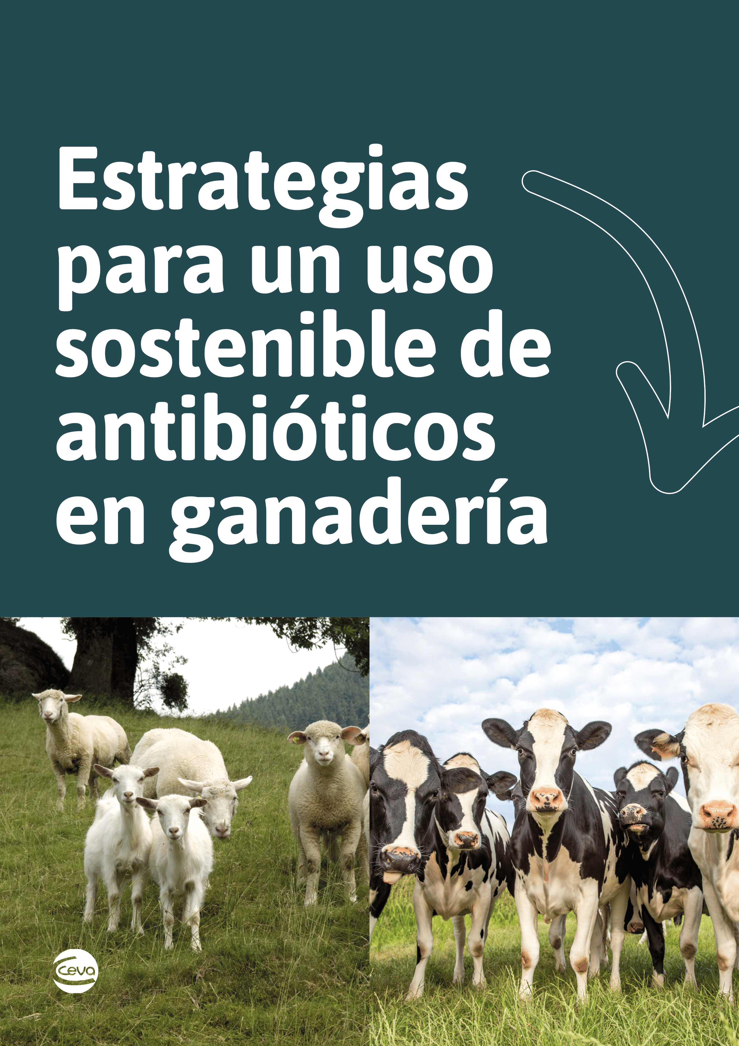 CEV - Estrategias para un uso sostenible de antibioticos en ganadería - Portada2D (2)