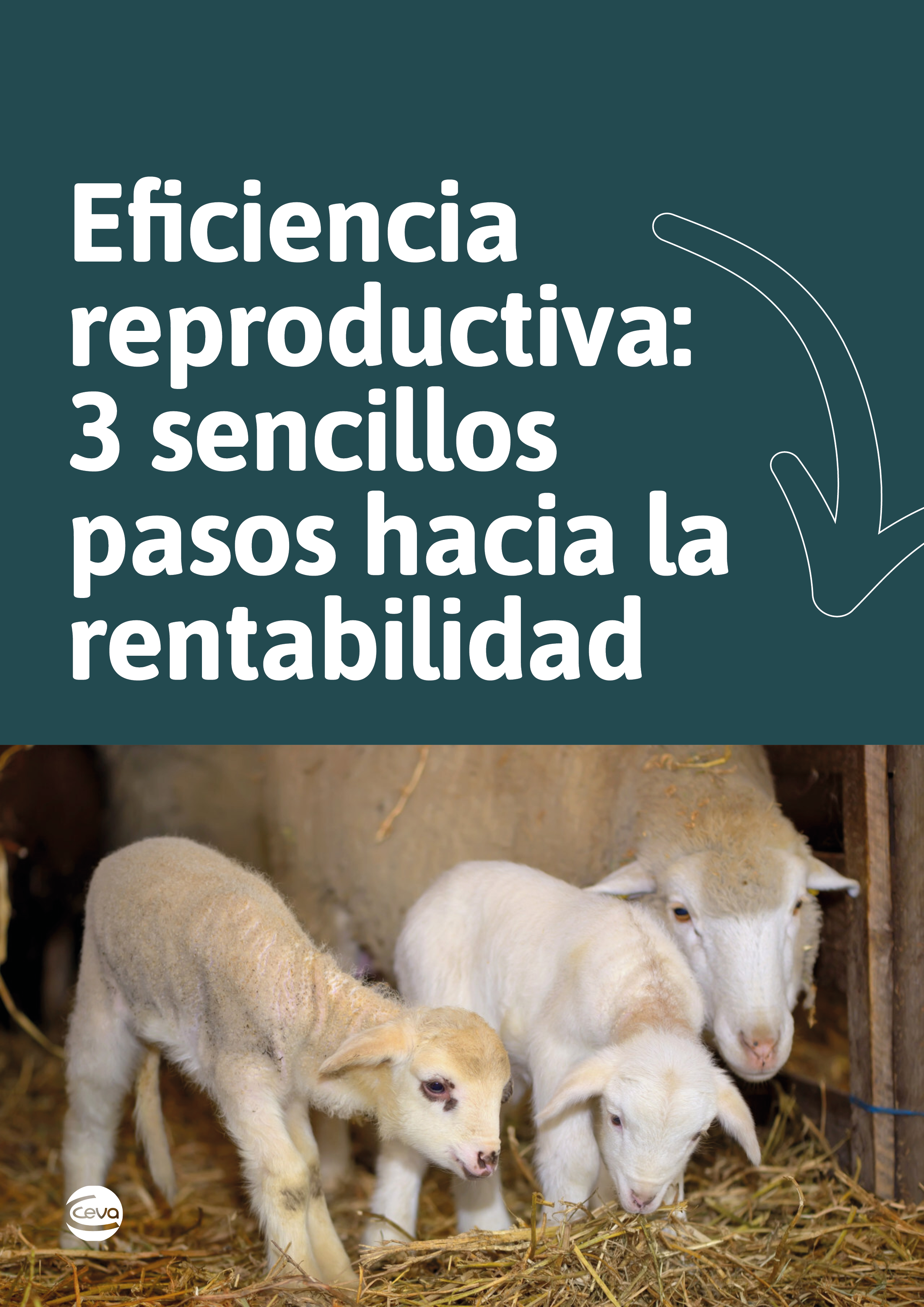 CEV - Portada 2D 2 - versió 2 (2)