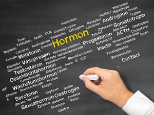 Kreidetafel beschrieben mit diversen Hormonen