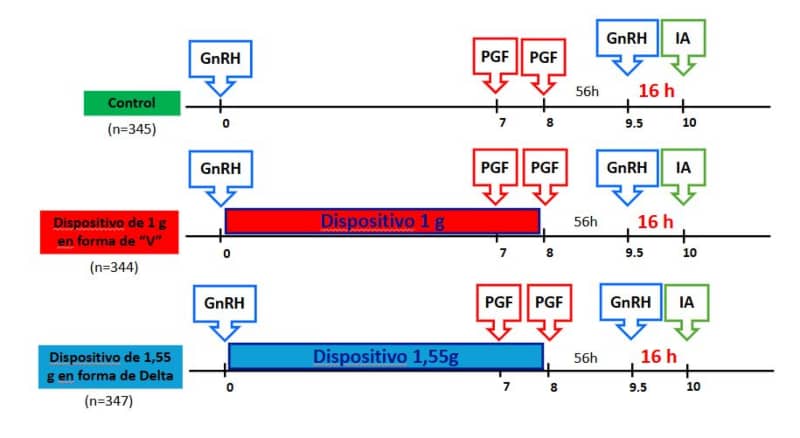 Figura 2 - dispositivo de progesterona en vacas