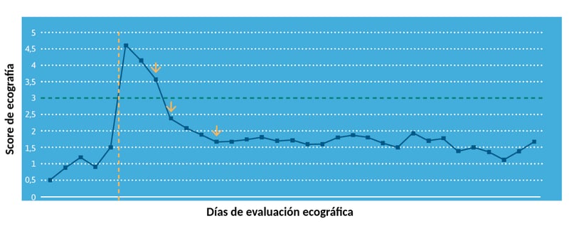 Ecografía frente a SRB terneros