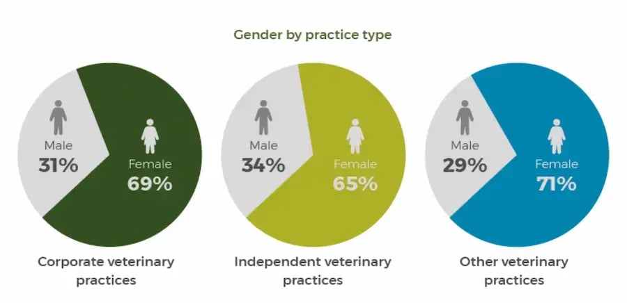 Veterinary profession 2