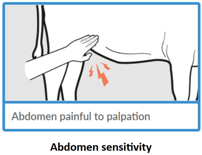 calf pain signs 3