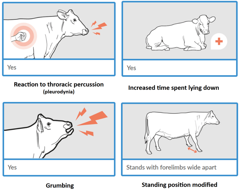 calf pain signs 4