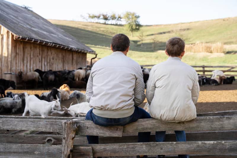 Padre e hijo juntos en la granja de cabras