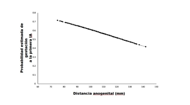 distancia anogenital novillas-figura1