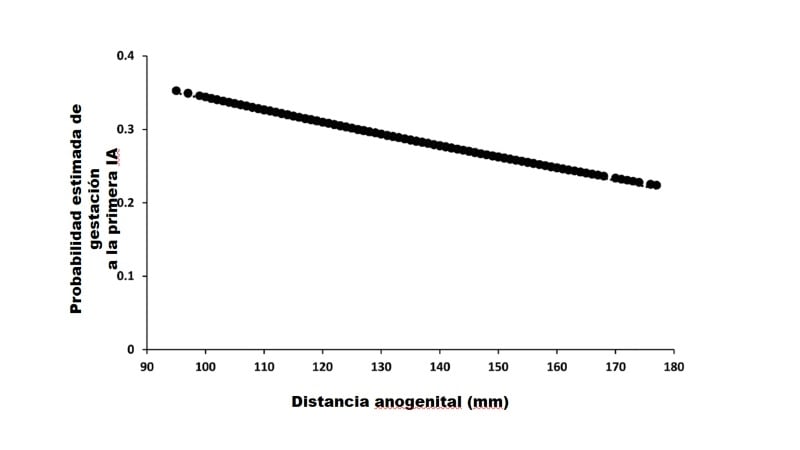 distancia anogenital novillas-figura2