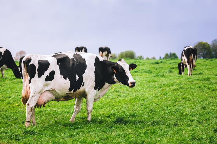 european milk prices 2026