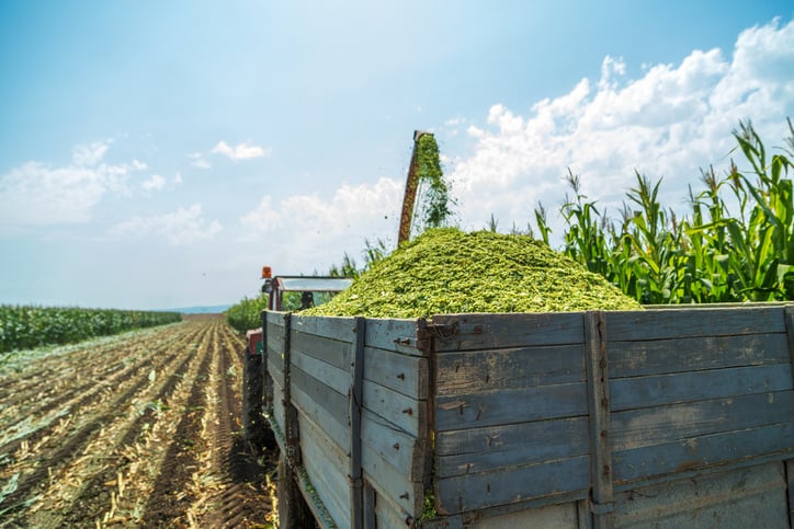 farm-workers 2