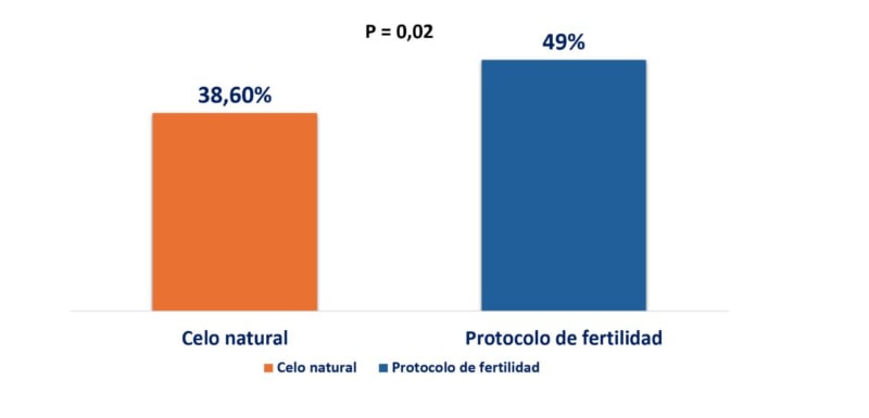fig 1-inseminación postparto vacas