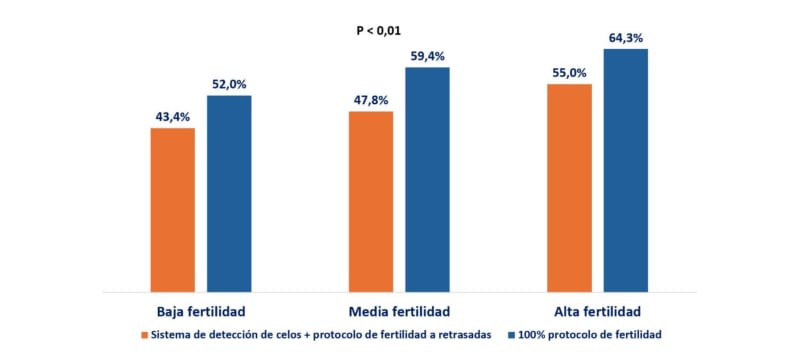 fig 3-inseminación postparto vacas