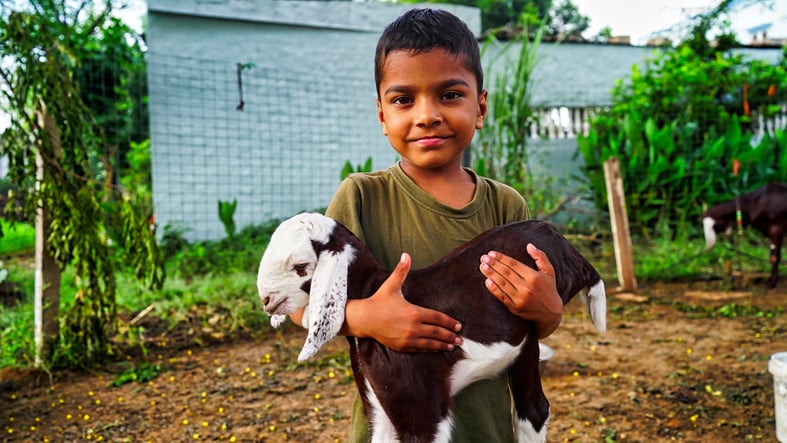 goat-milk-production-2