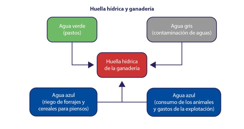 huella hídrica