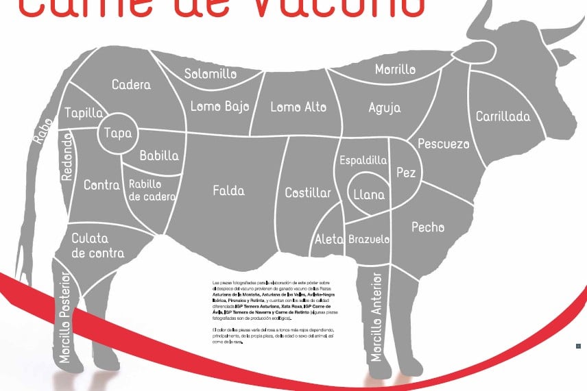 partes de la vaca