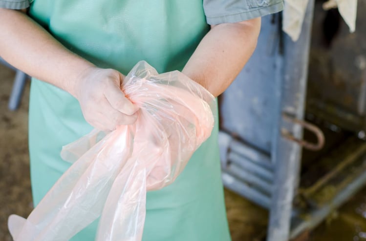 q-fever-vaccine-for-animals-1