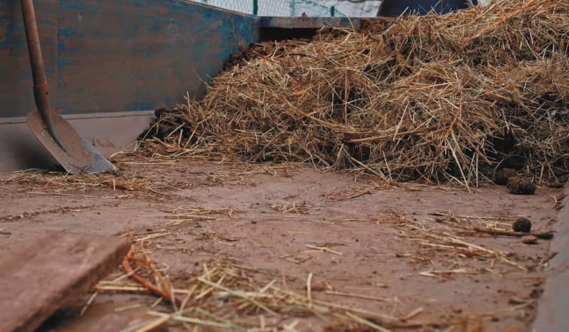 La limpieza de las camas de una granja supone la acumulación de residuos ganaderos.