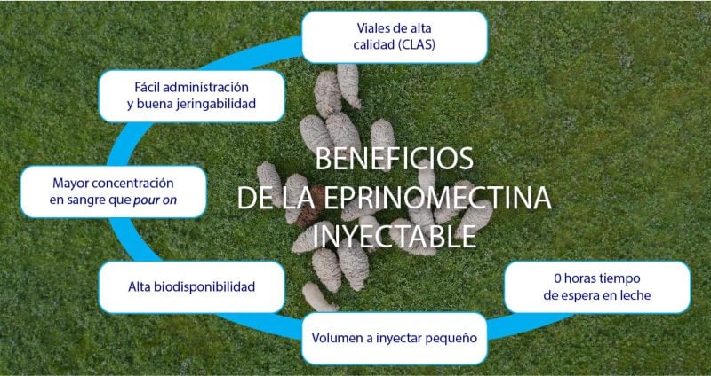 características de la eprinomectina inyectable, el producto más ventajoso para el tratamiento de la sarna en ovejas.