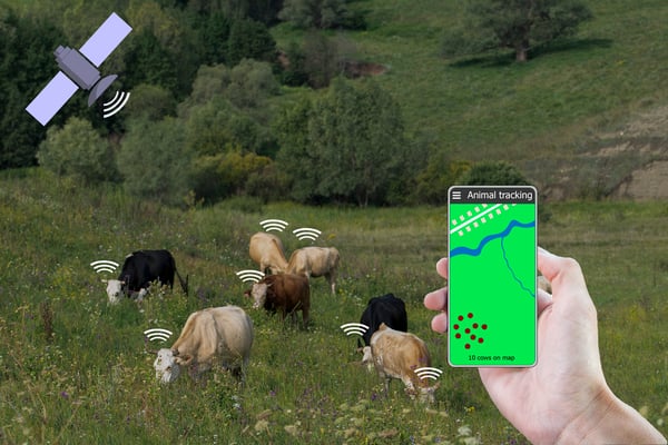 shade for cattle PLF