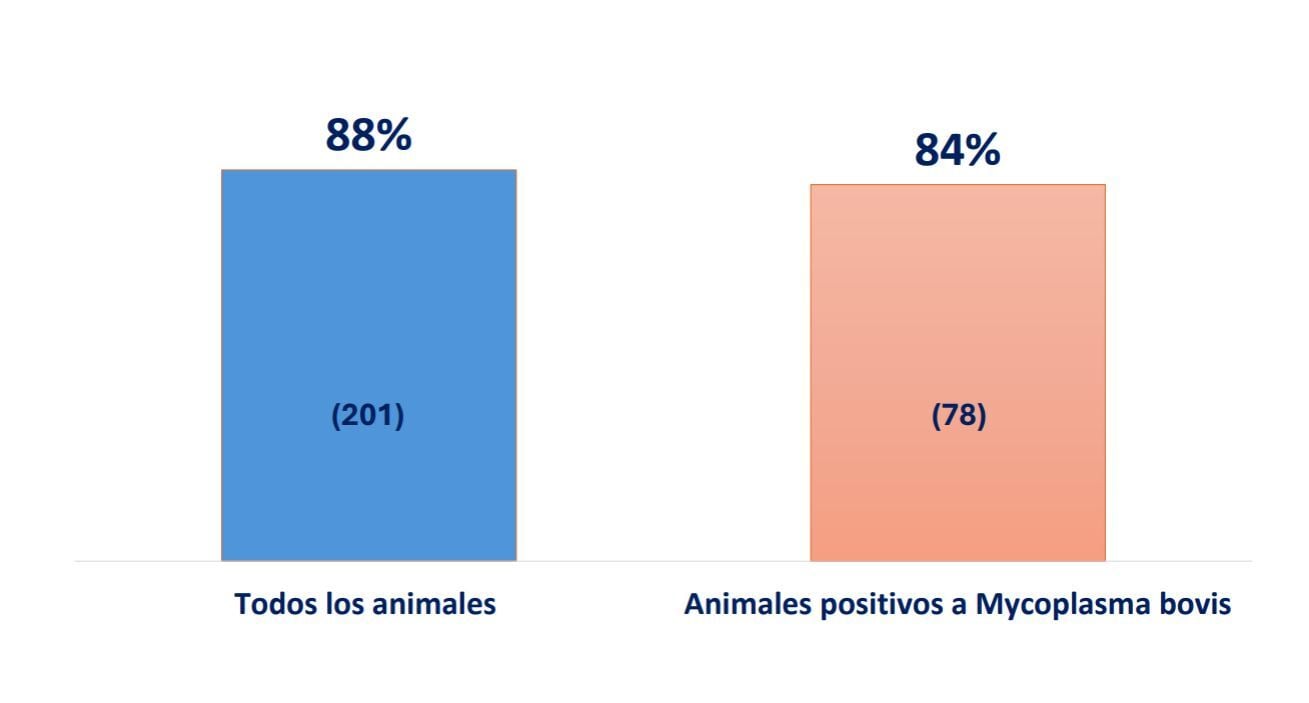 tabla1-sindrome respiratorio bovino mycoplasma