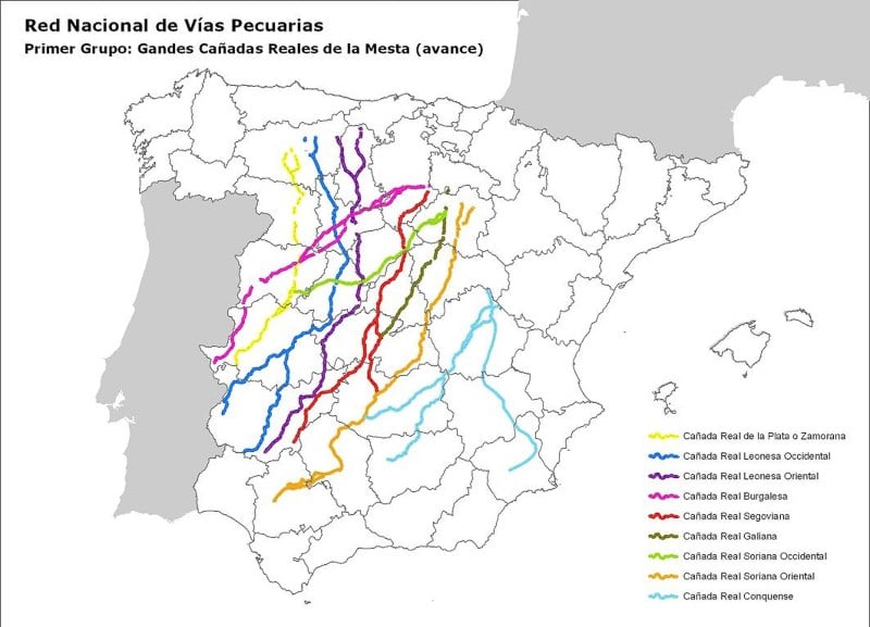 La trashumancia, una actividad ancestral que pervive en España