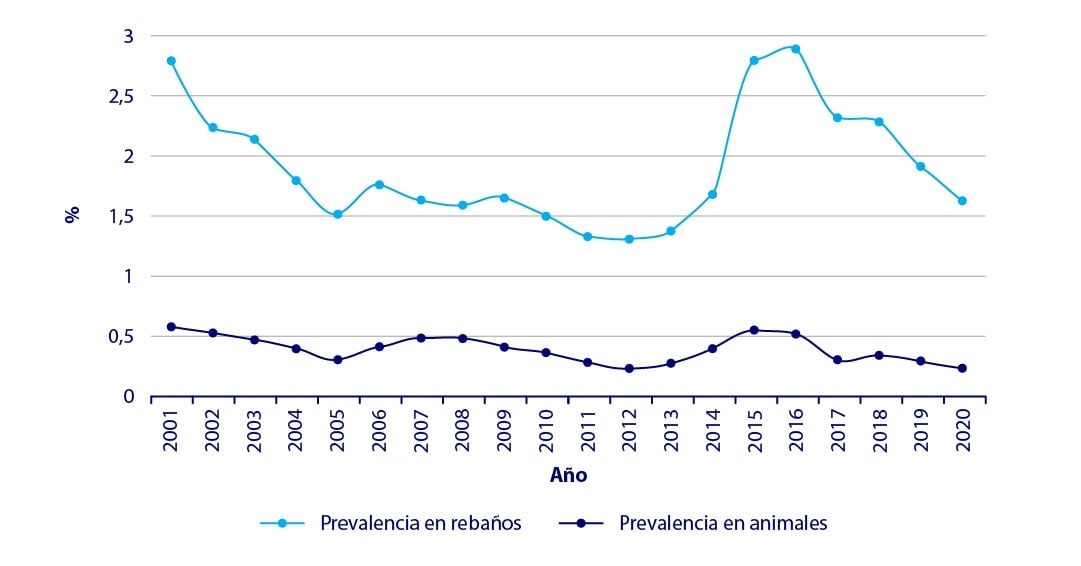tuberculosis vacas grafico rumiantes año prevalencia