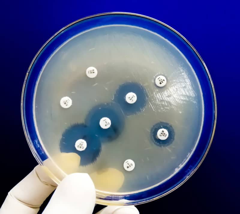 Resistencia antibioticos bacterias