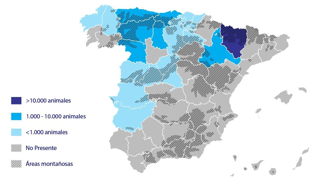 distribución en España de la vaca Parda de Montaña