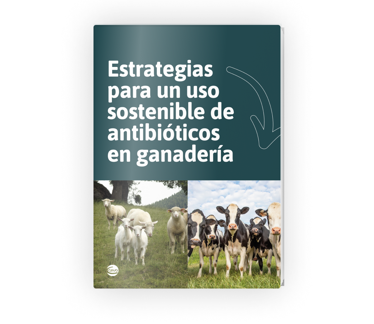 CEV - ebook - Estrategias para un uso sostenible de antibioticos en ganadería - Portada 3D (3)