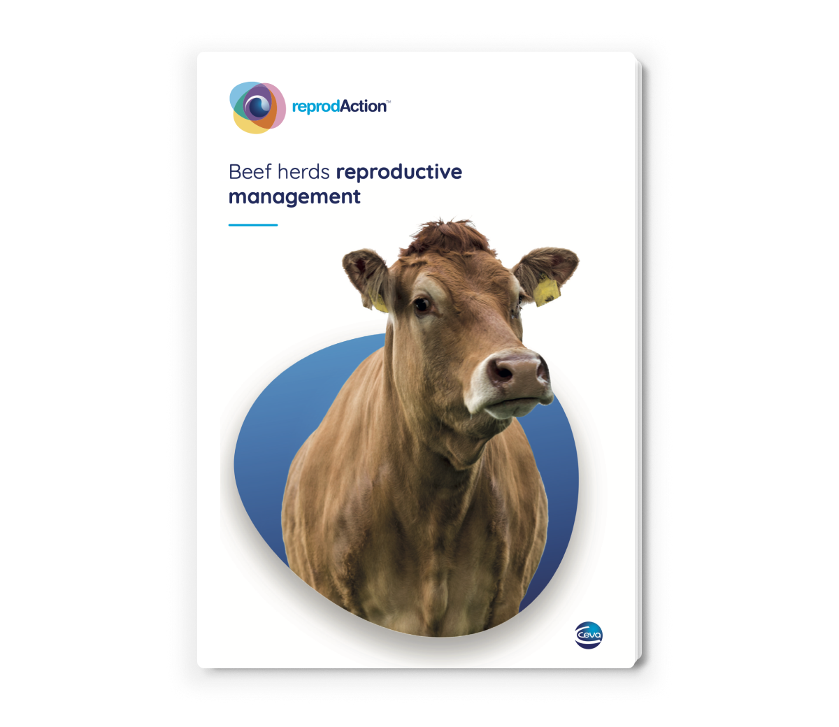 CEV_GL - beef herds - Portada 3D