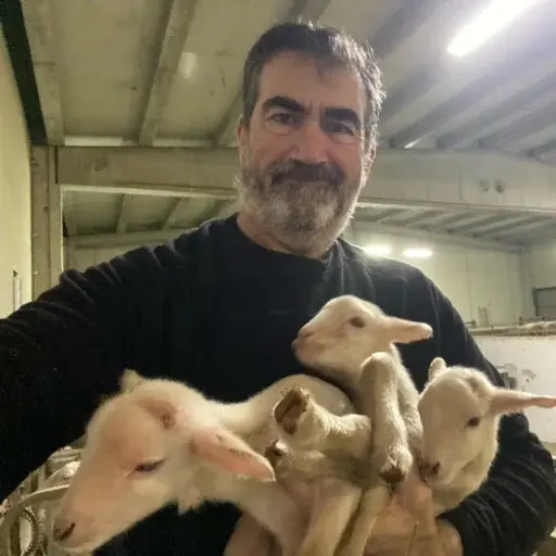 Jose-Alfonso Abecia (PhD, Dip ECSRHM)