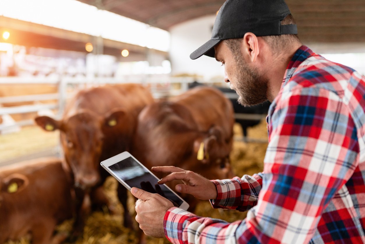 Livestock health monitoring