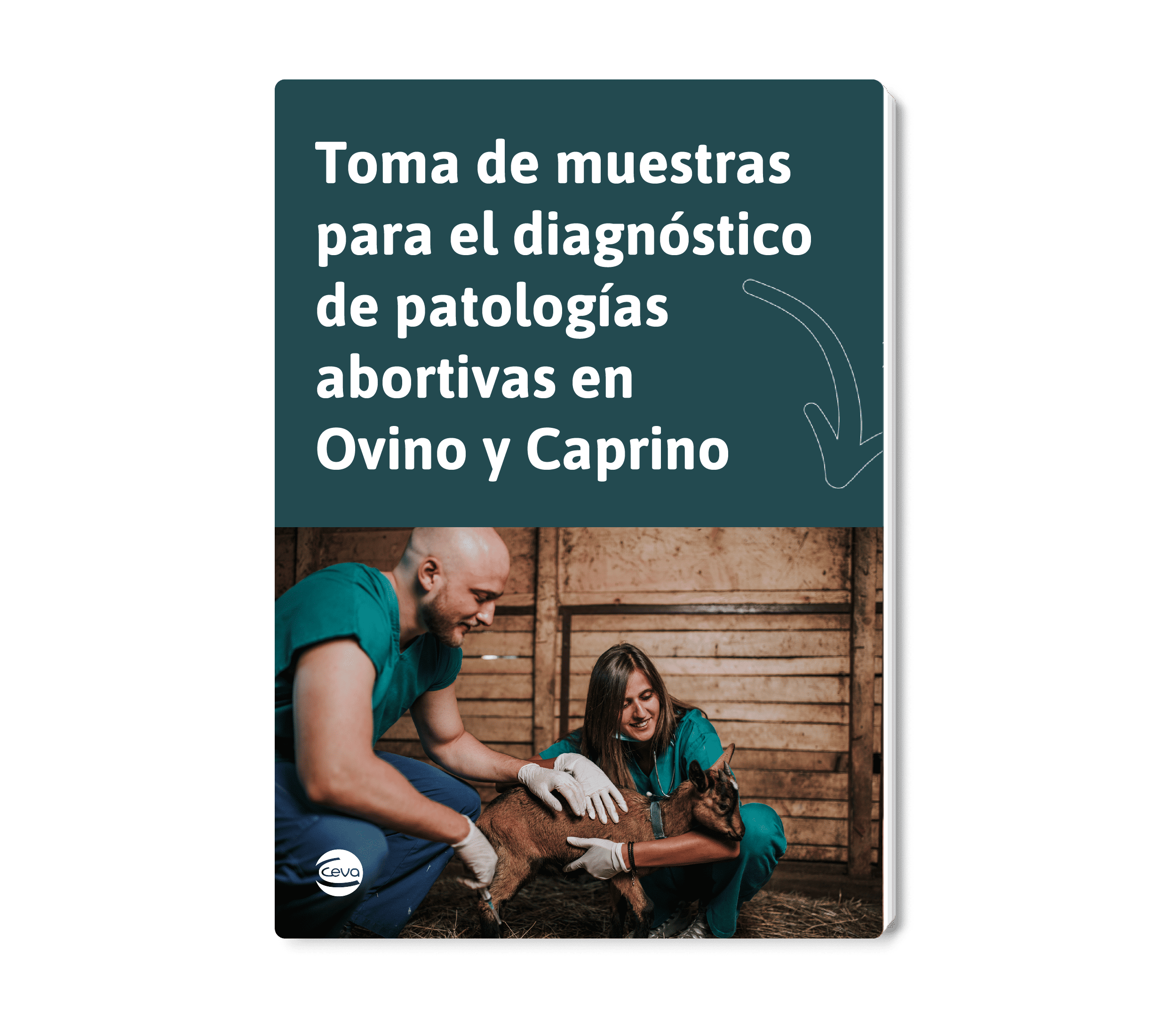 Toma de muestras