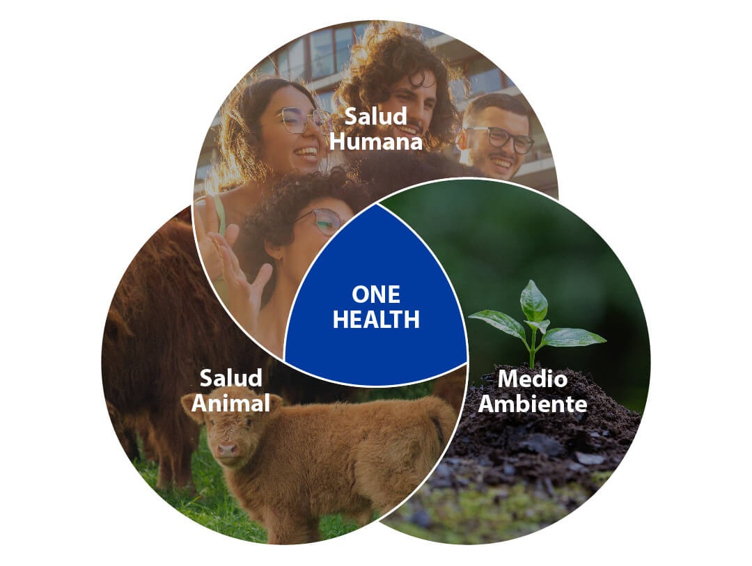 Diagrama One Health