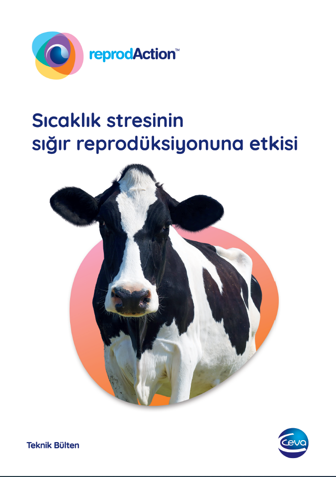 sıcaklık st kapak