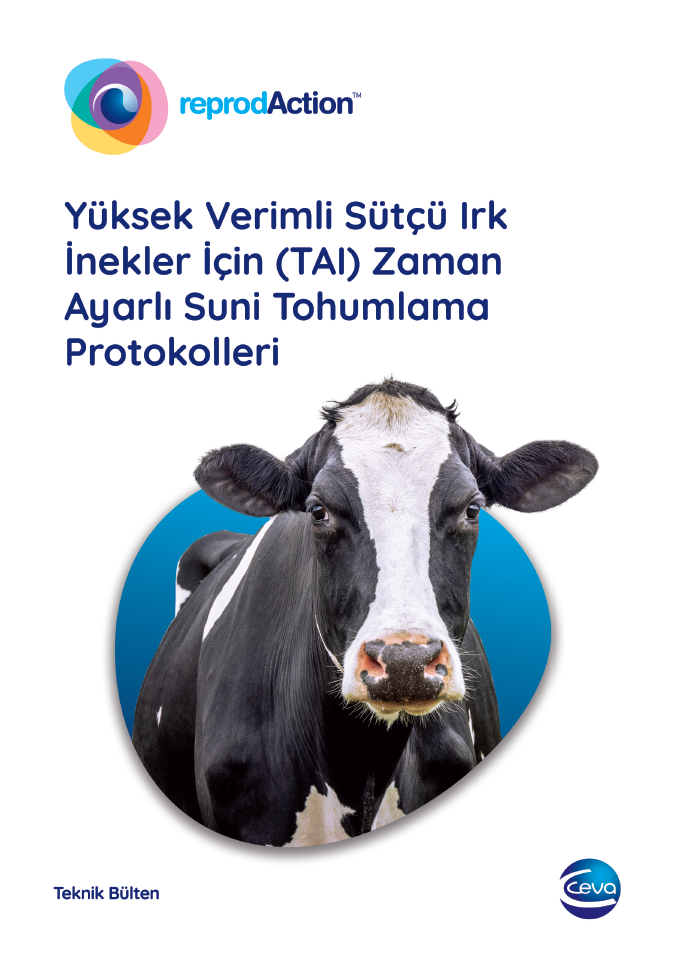 suni tohumlama kapak